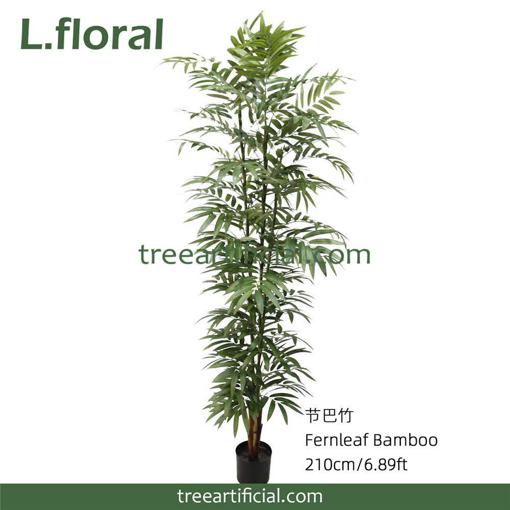 节巴竹210CM副本.jpg