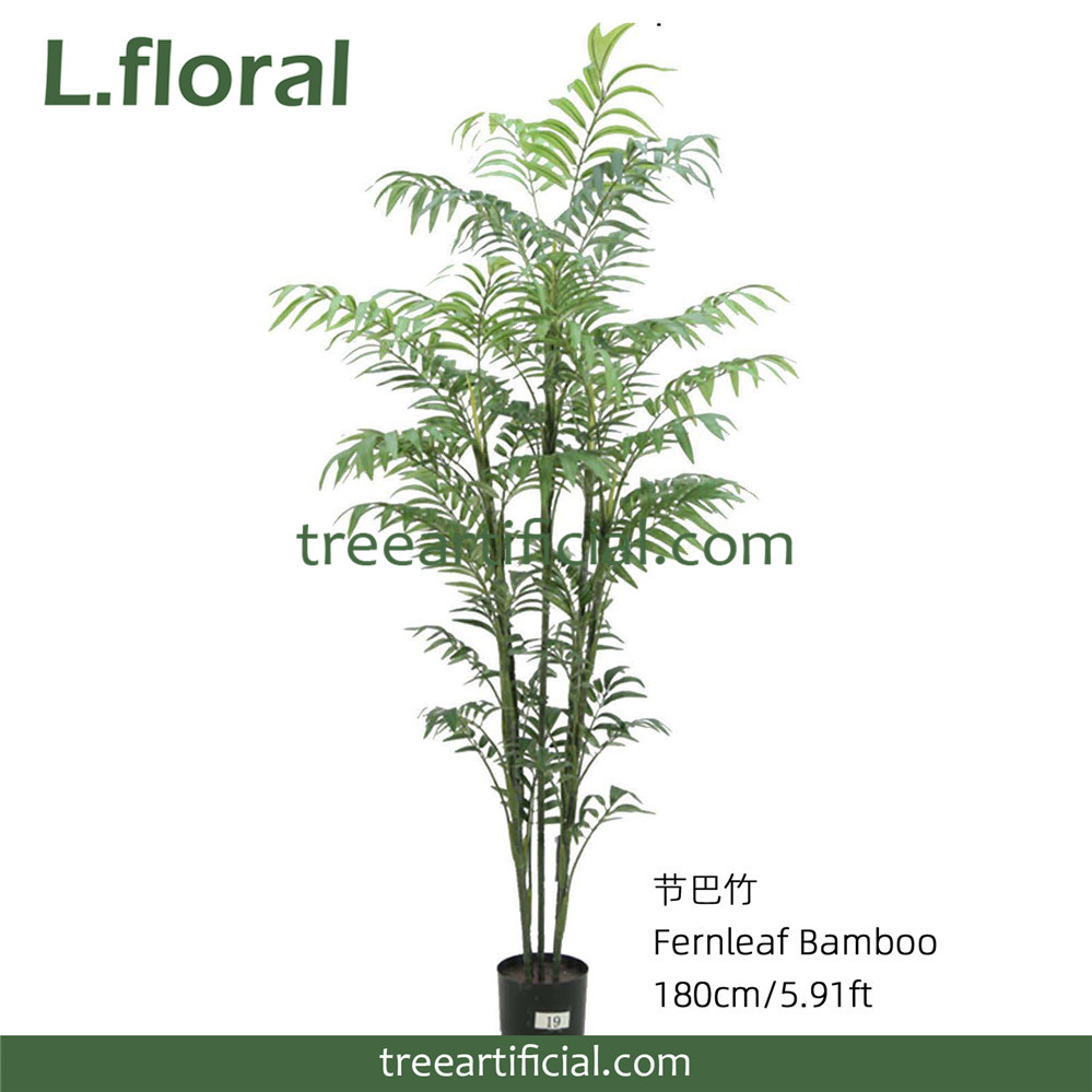 节巴竹180CM副本.jpg