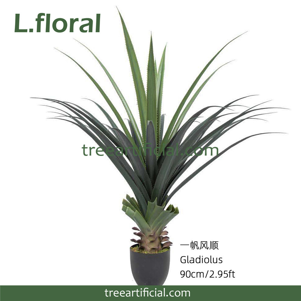 一帆风顺90 副本副本.JPG