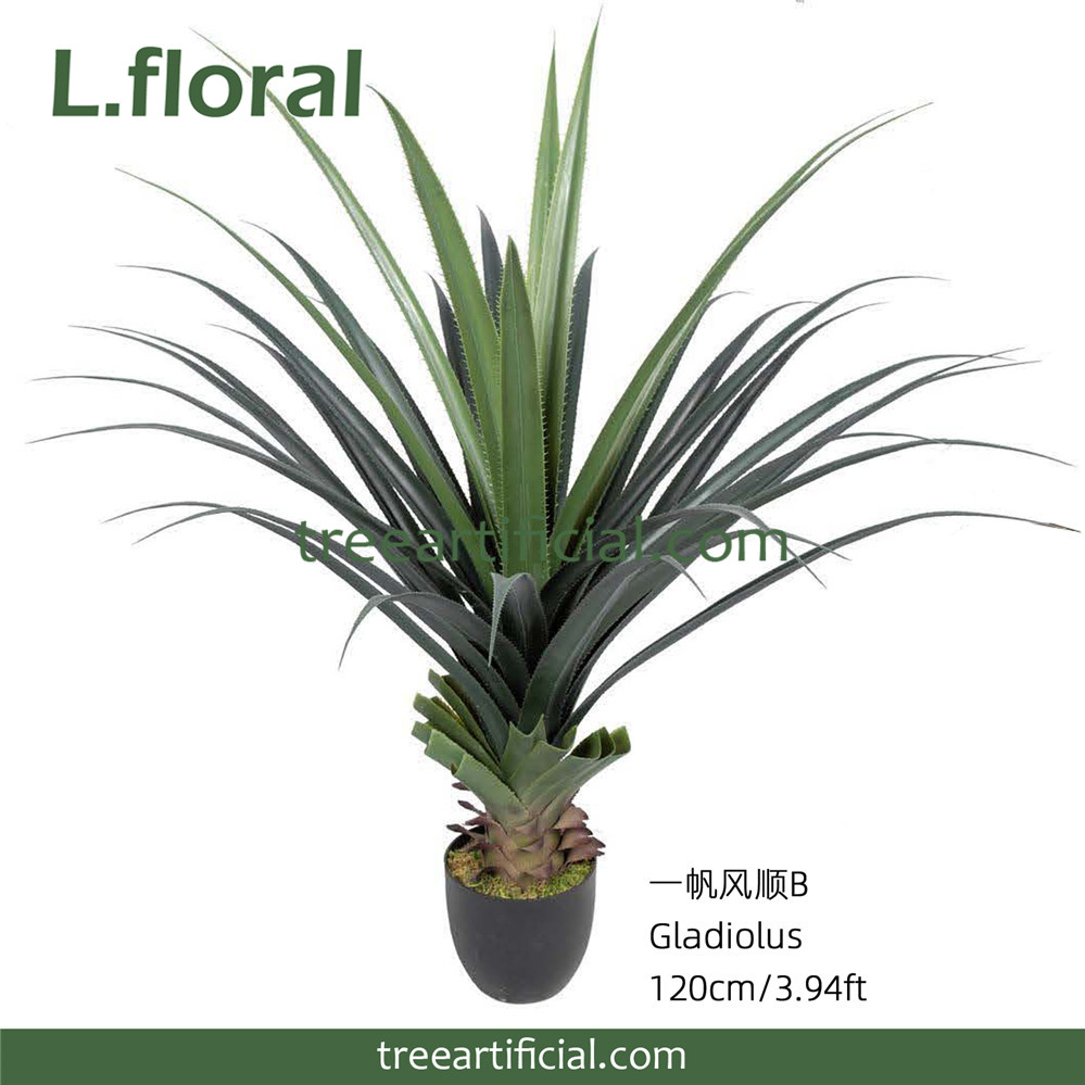 一帆风顺B120 副本副本.JPG