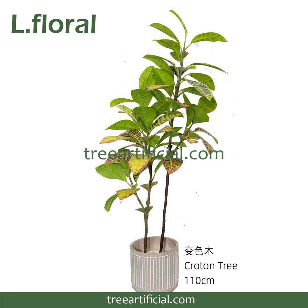变色木100cm副本.jpg