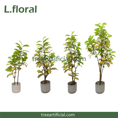 0082 Croton Tree,Artificial Plant,Bonsai