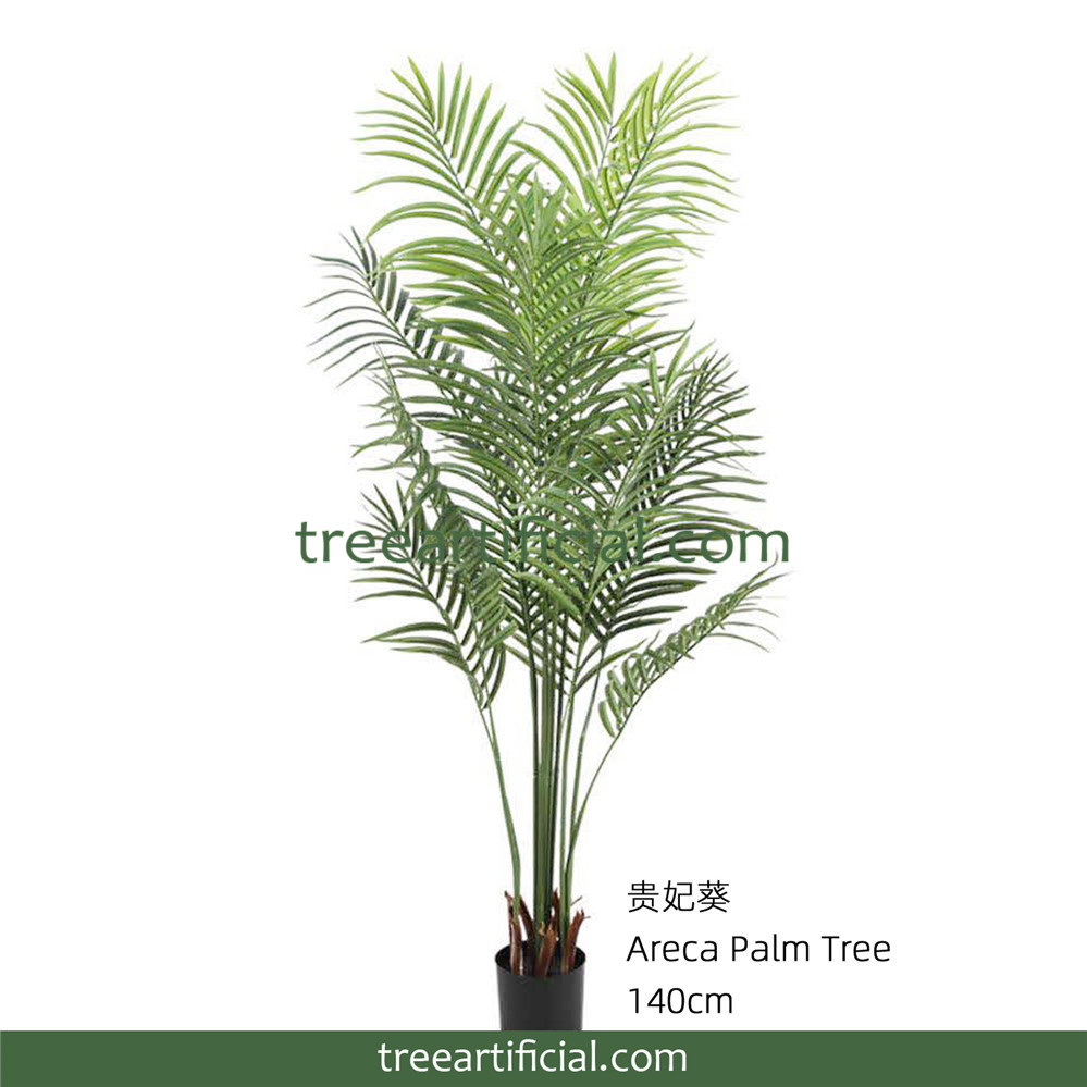 贵妃葵140cm副本.jpg