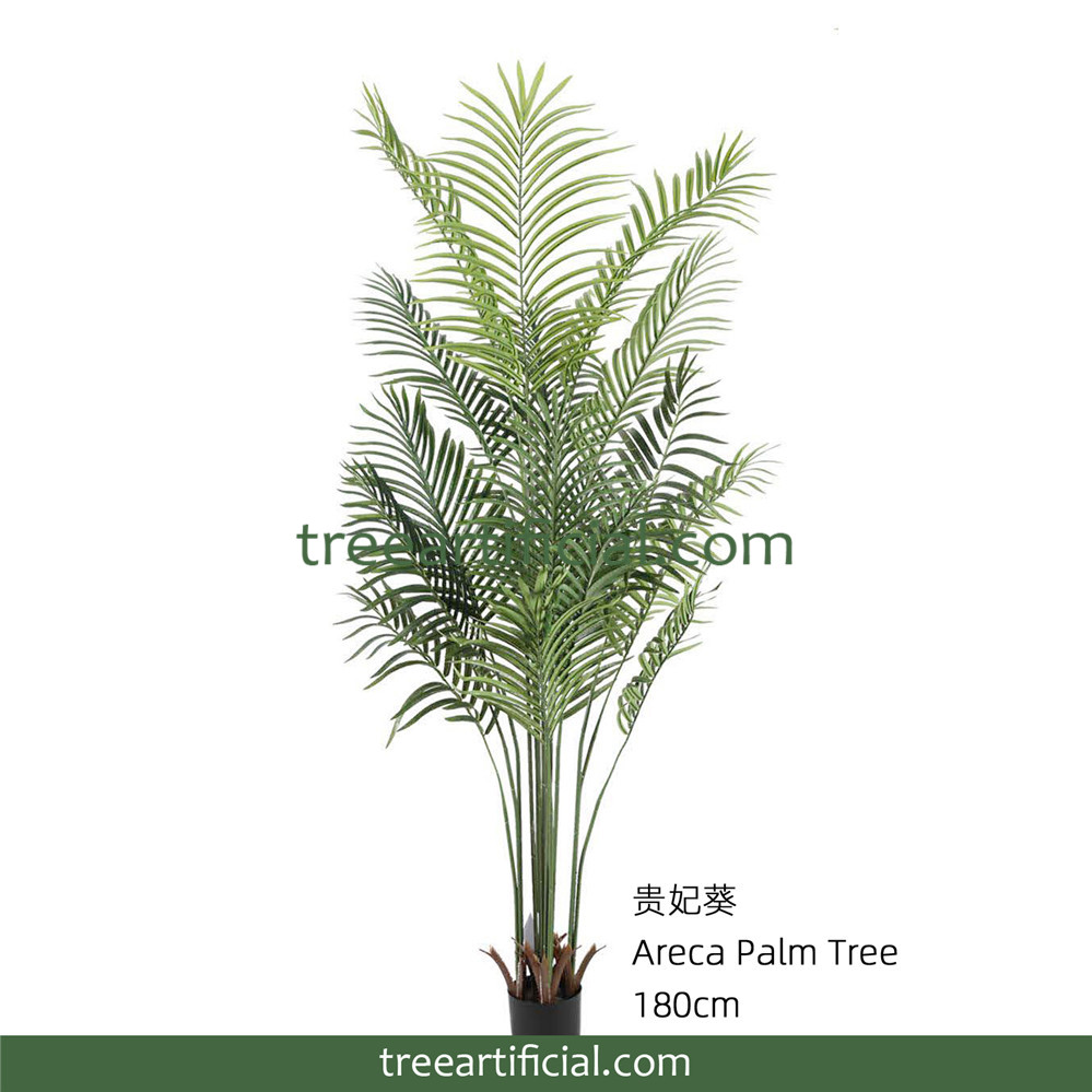 贵妃葵180cm副本.jpg