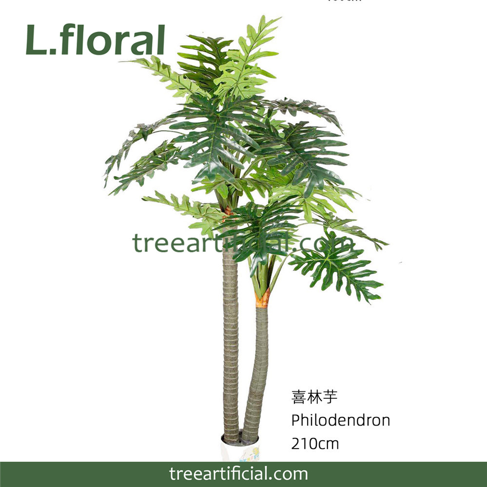 喜林芋210cm副本.jpg