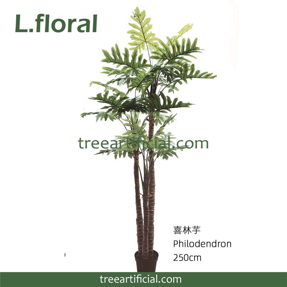 喜林芋250cm副本.jpg